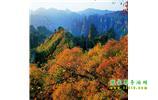 長(zhǎng)沙往返張家界、天子山、寶峰湖/黃龍洞三日游