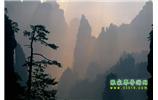 張家界國(guó)家森林公園、寶峰湖/黃龍洞、鳳凰古城、三峽八日游